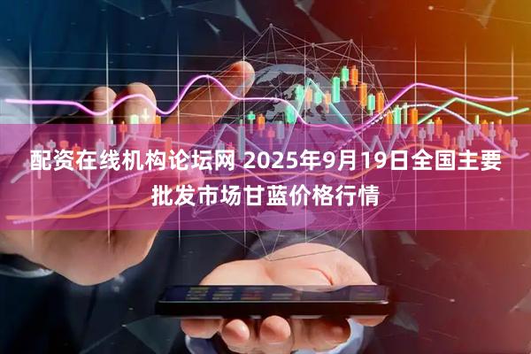 配资在线机构论坛网 2025年9月19日全国主要批发市场甘蓝价格行情