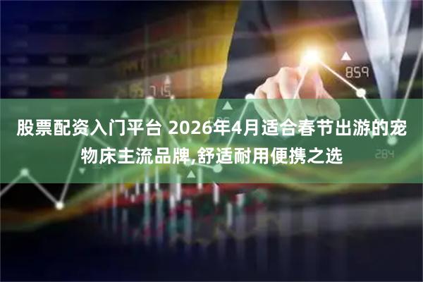 股票配资入门平台 2026年4月适合春节出游的宠物床主流品牌,舒适耐用便携之选